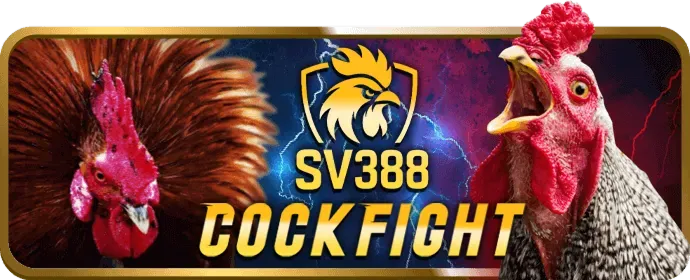 Tư Vấn & Hỗ Trợ